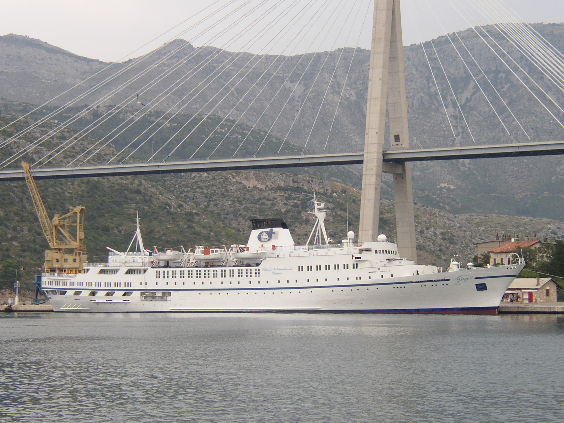 Izvorni naziv datoteke: arion 04.JPG