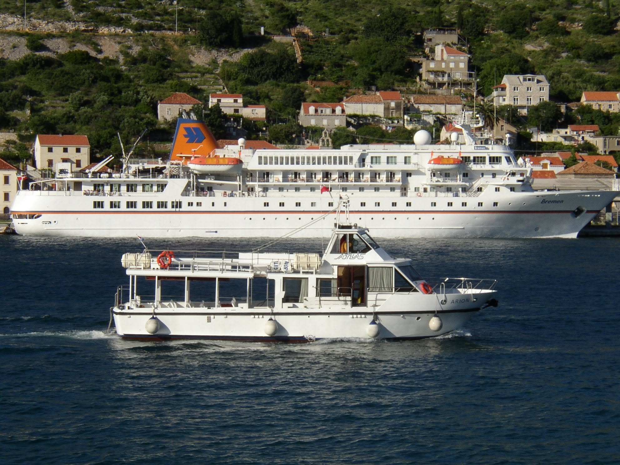 Arion