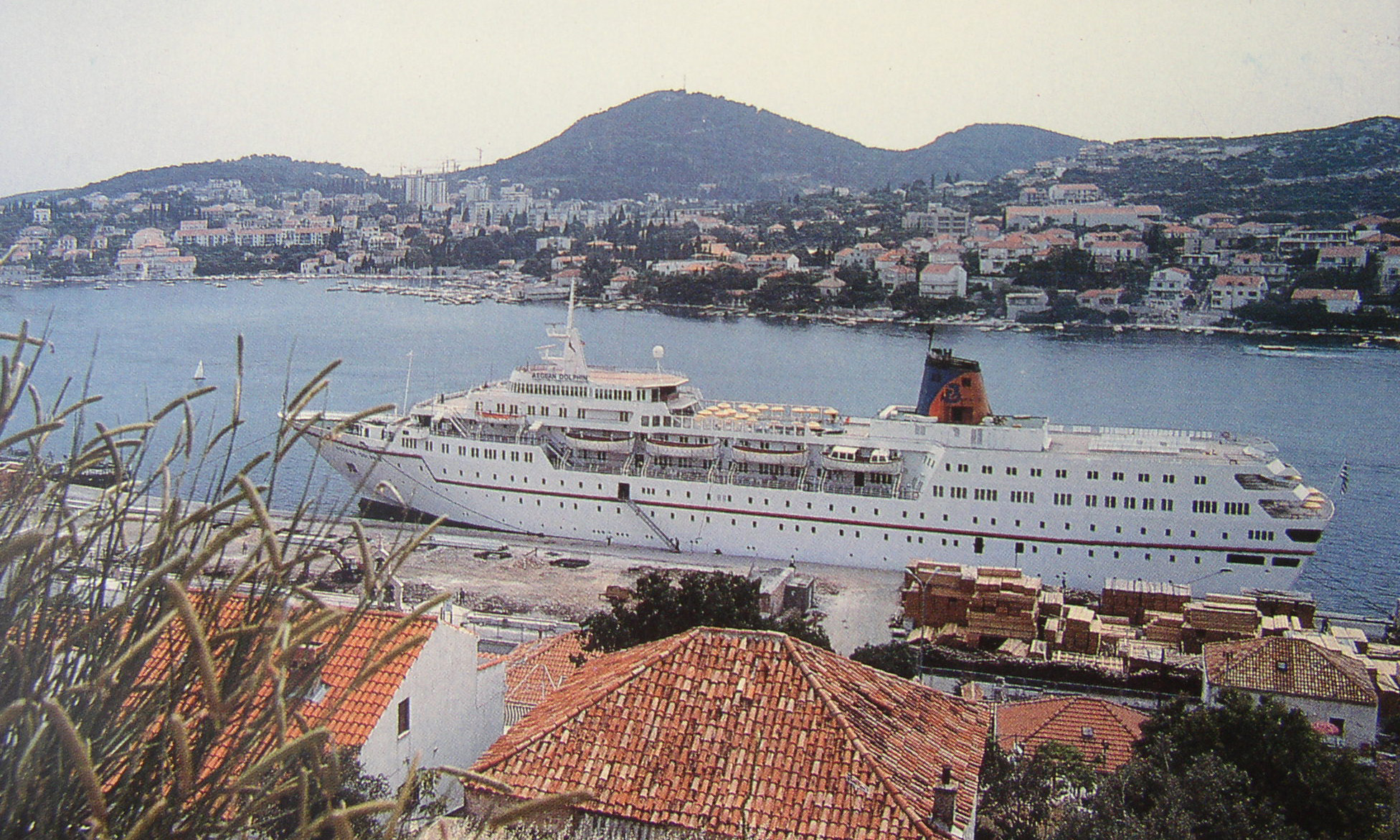 Izvorni naziv: aegean dolphin 04.JPG