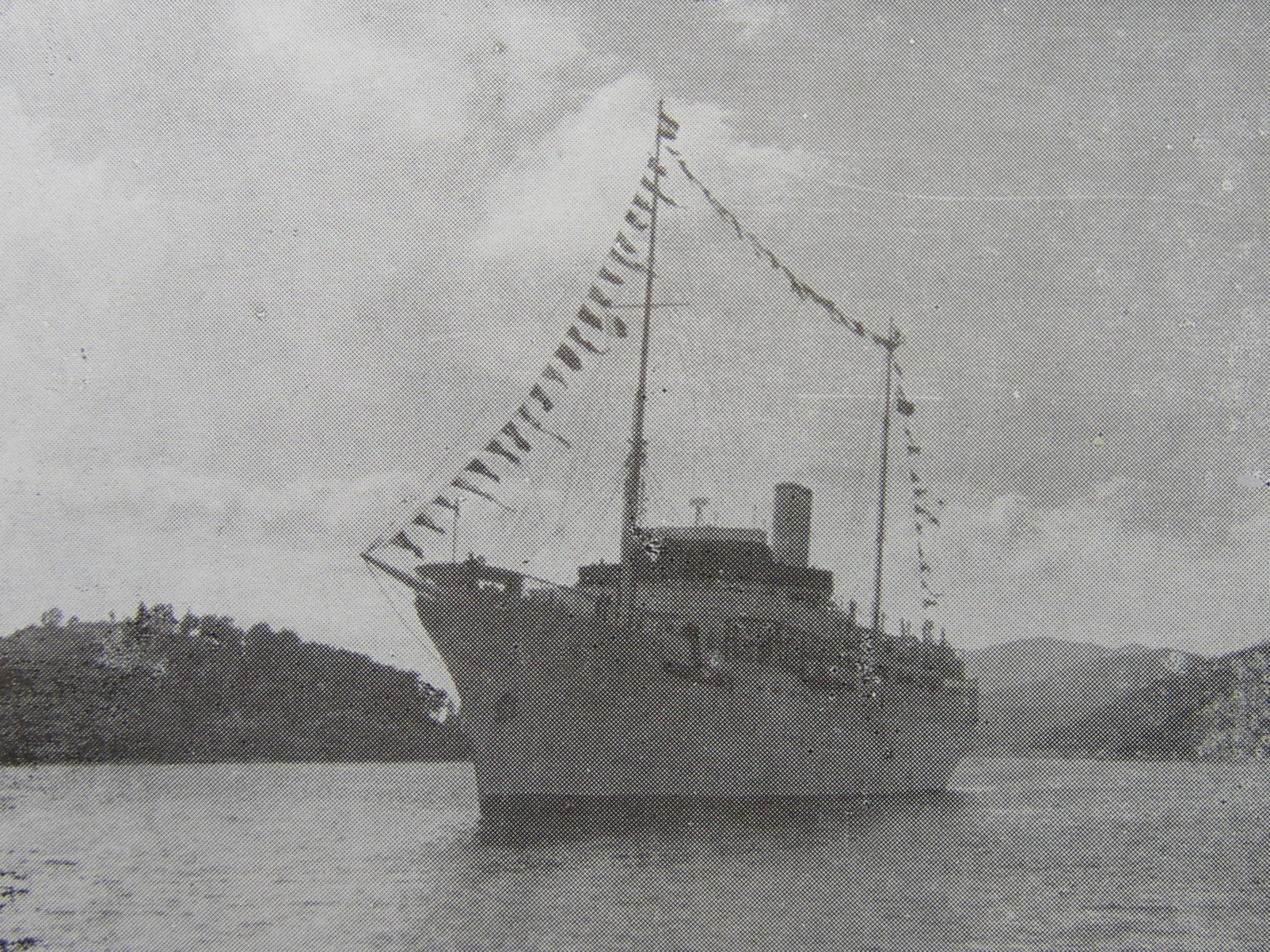 Izvorni naziv: stella polaris 02.JPG